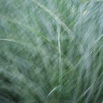 DSCF0600.RAF